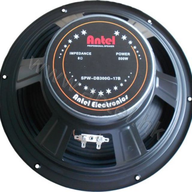 Antel Professional Speaker 12