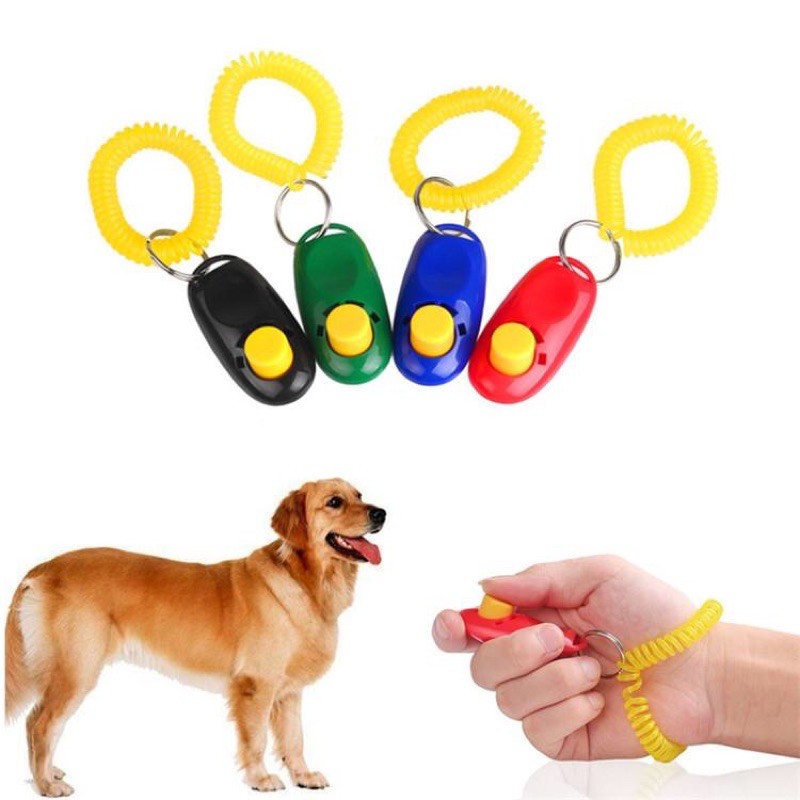 Pet best sale training clicker