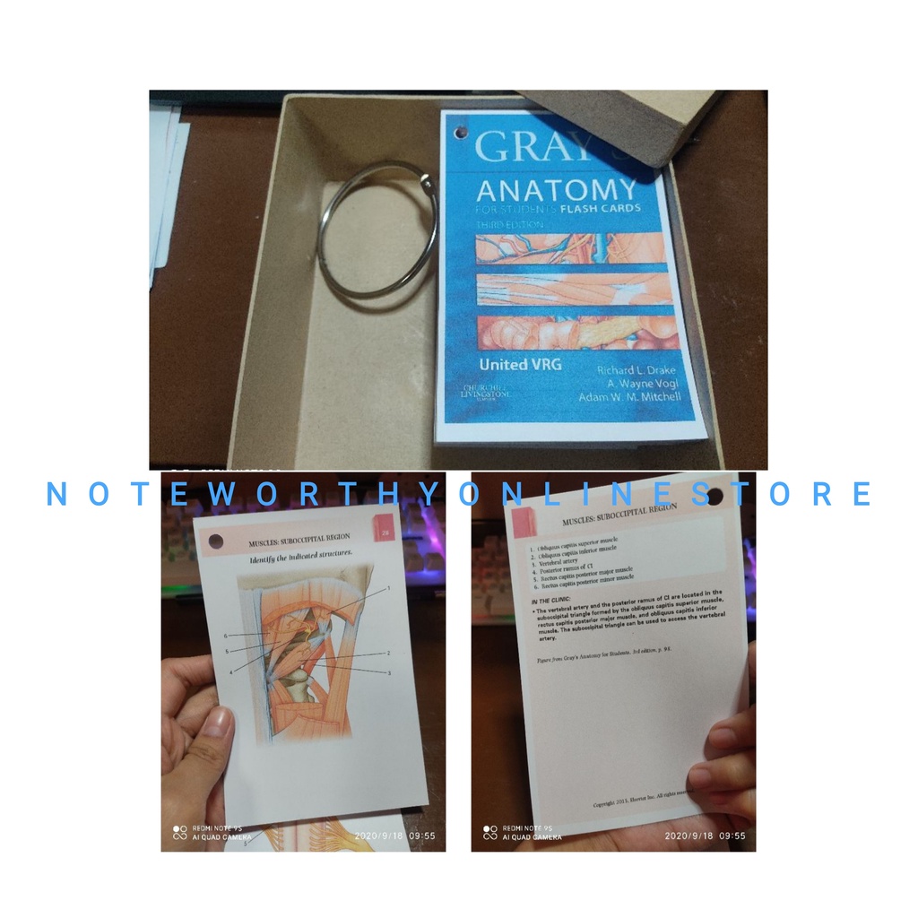 Medicine Students Gray's Anatomy Flashcards Colored Physician Licensure Exam Notes Shopee