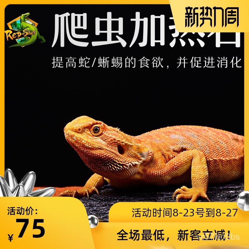 COD★ Ready Stock Crawler Lizard Mane Lion Guard Palace Corn Snake