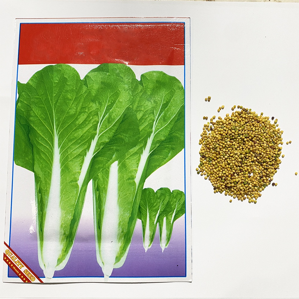 Home Zania Plantitas and Plantitos Hybrid Fruits and Vegetable Seeds