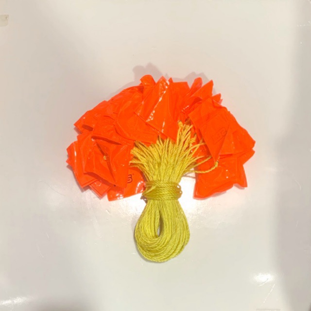 VSAFEMKT HI Gloss Delineator String (50Meter) Orange color | Shopee ...