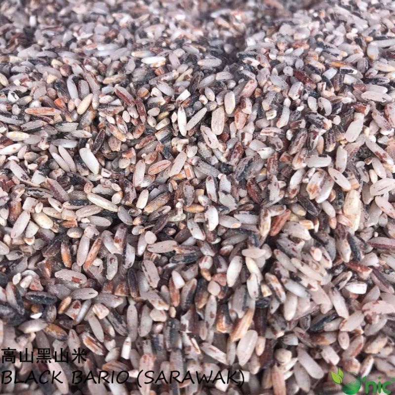Sarawak Black Bario Rice 1KG | Shopee Philippines