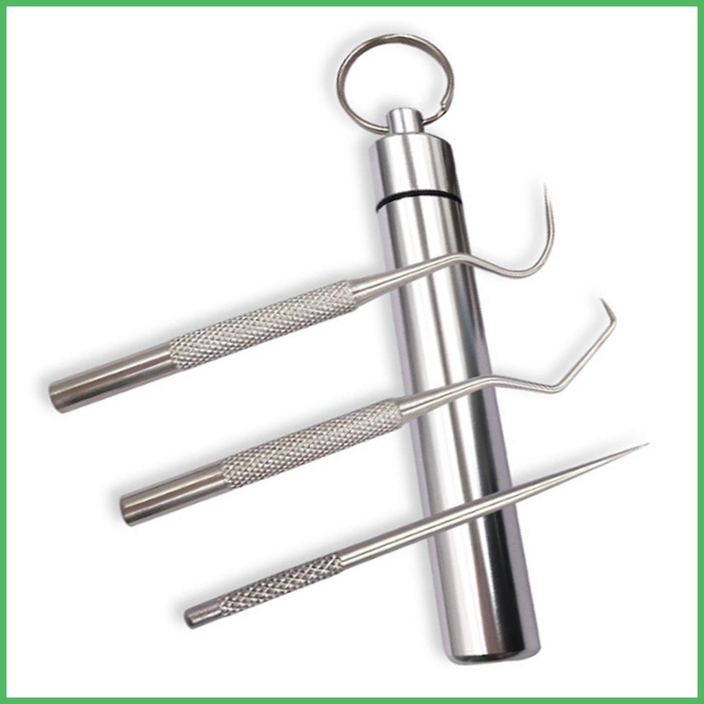 Stainless Steel Toothpicks Pocket Set Professional Teeth Cleaning Tools ...