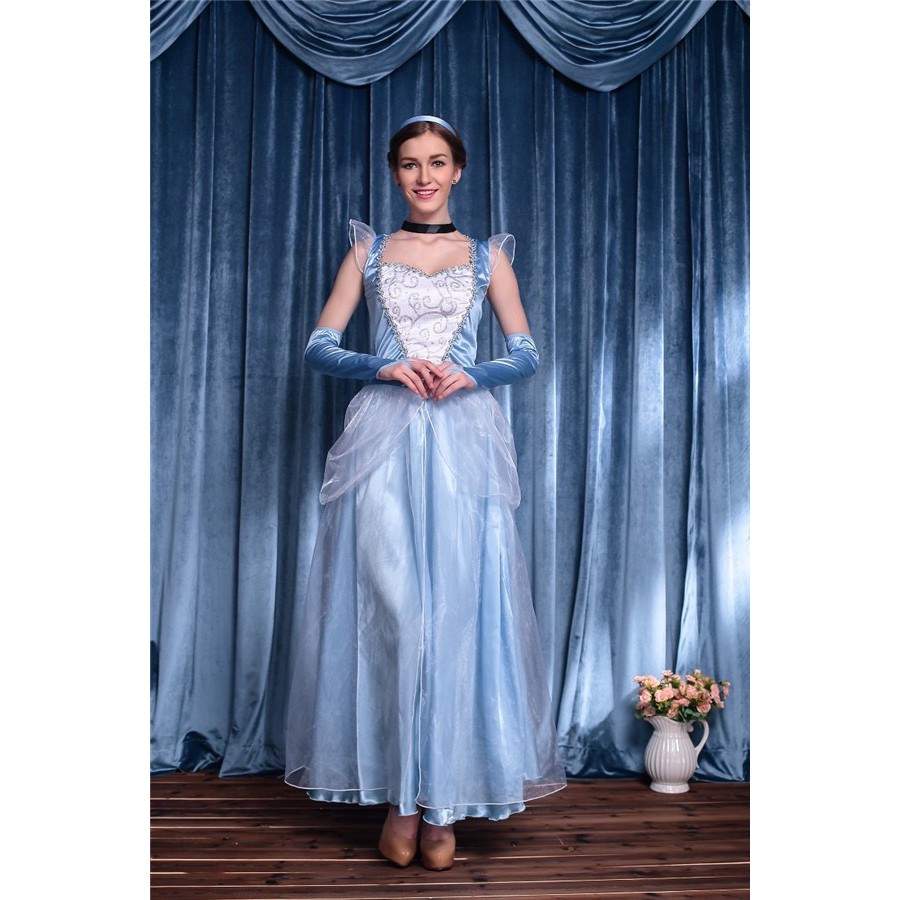 Cinderella costume clearance adult