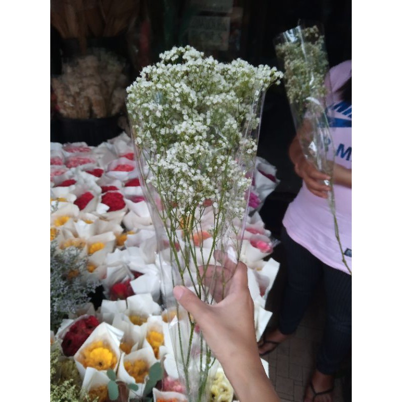 Shop baby's breath for Sale on Shopee Philippines