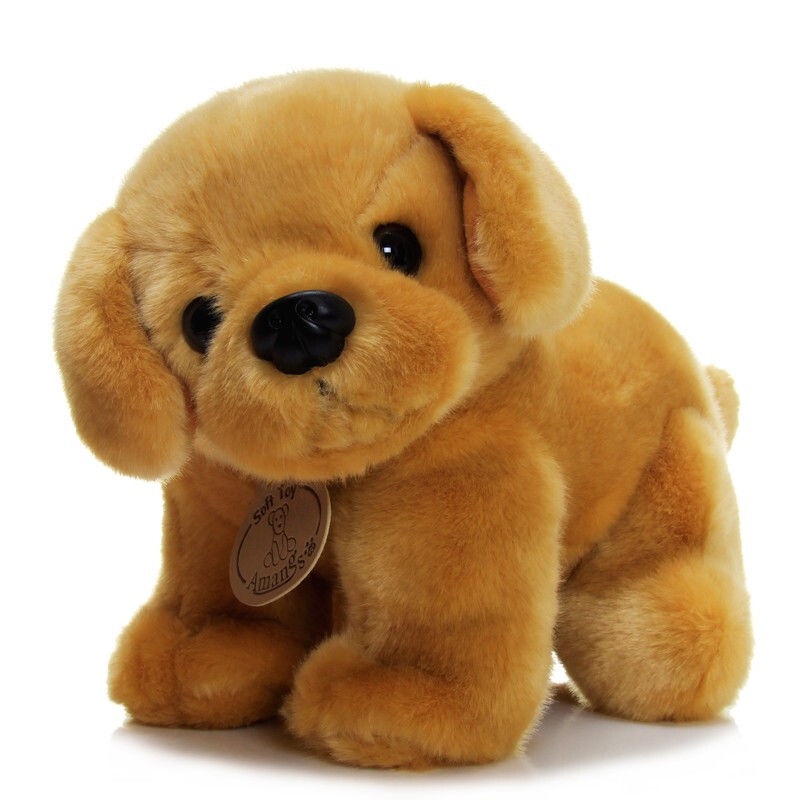 Golden Retriever Plush Toy Cute Golden Retriever Puppy Doll Doll Couple