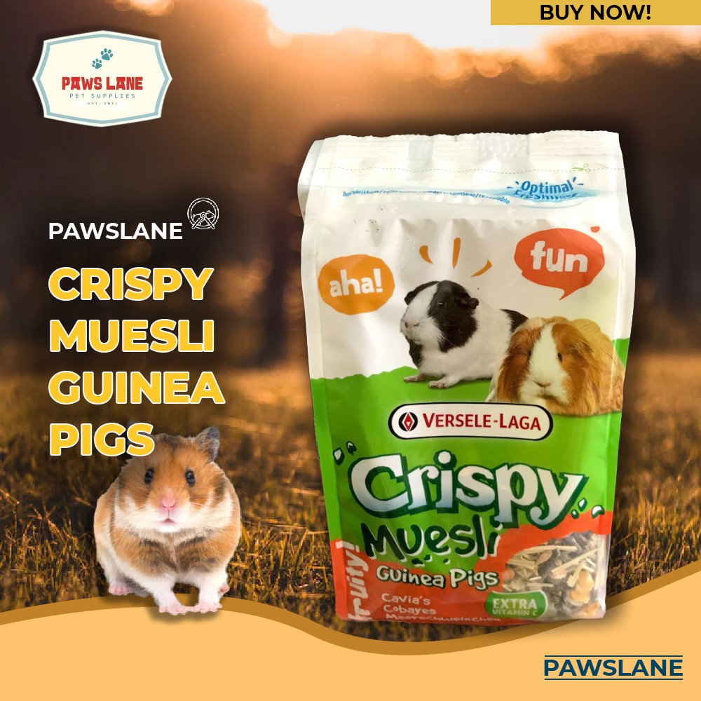 Versele laga crispy 2024 muesli guinea pigs