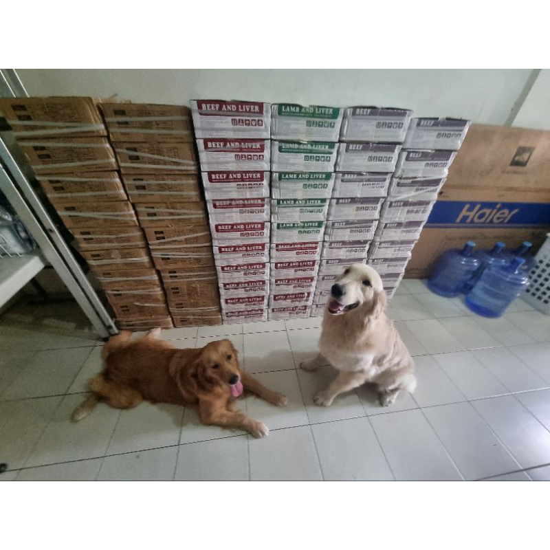 Aozi Dog Food Organic(wet dog food) in can *Beef , Chicken* | Shopee ...