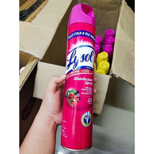 Lysol Disinfectant spray 510grms Asstd Random Variants Shopee Philippines