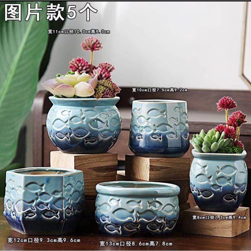 Fish Shaped ceramic pots (1 combo 5 Pieces) | Shopee Philippines