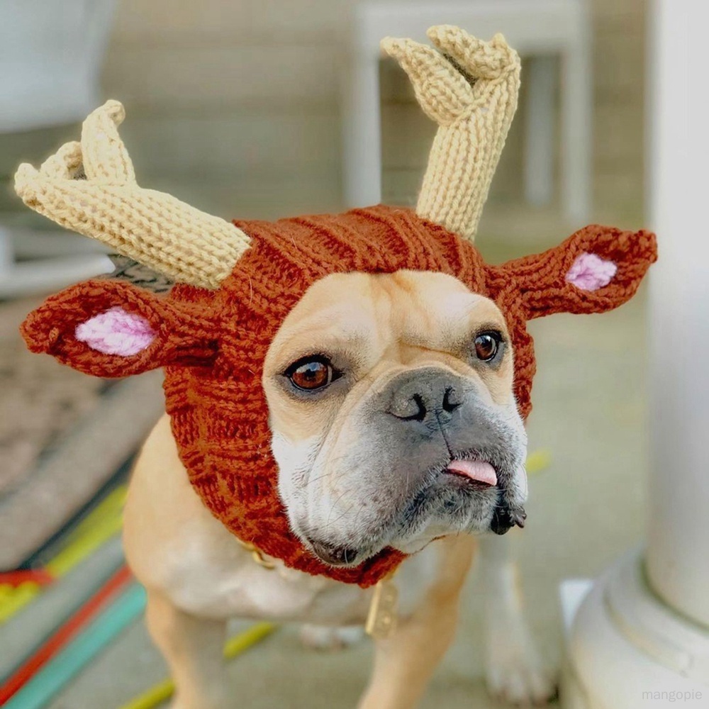 Autumn and Winter White Rabbit Warm and Windproof Halloween Knitted Dog ...
