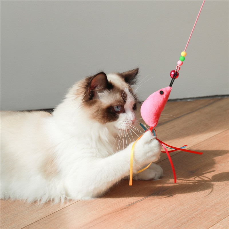 Cat dancer 2024 interactive cat toy