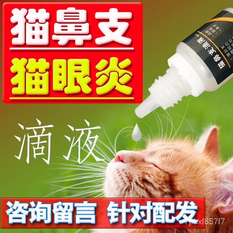 Cat Eye Drops Ophthalmia Branch Nasal Herpes Virus Dropping Liquid Cat Red Swelling Inflammation