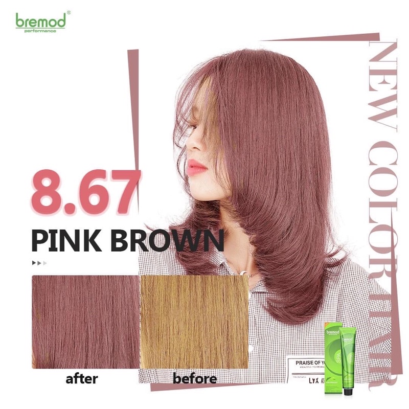 PINK BROWN BREMOD HAIR COLOUR Shopee Philippines