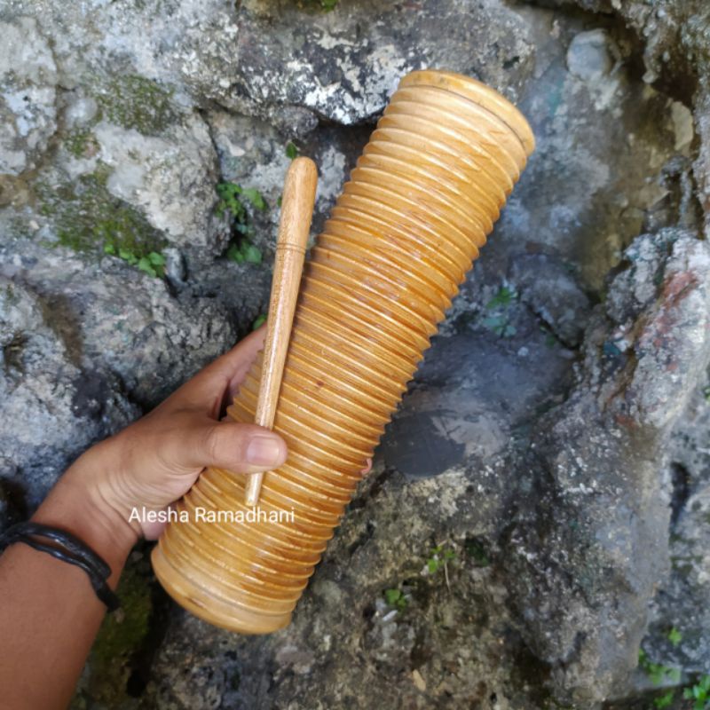 Large 2-in-1 Shaker and Guiro Percussion Musical Instrument | Shopee ...