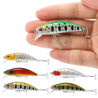 Shrimp Bait Saltwater - Fishing Lures  Soft Lures Fishing Bait Luminous  Artificial Lures For Freshwater Trout Bass Salmon And More: Buy Online at  Best Price in UAE 