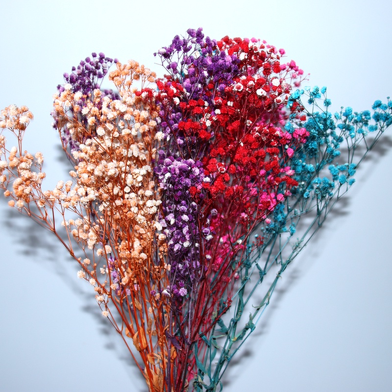 Dried Flower/ Dried Gypsophila Flowers/Dried Baby's Breath Flowers for ...