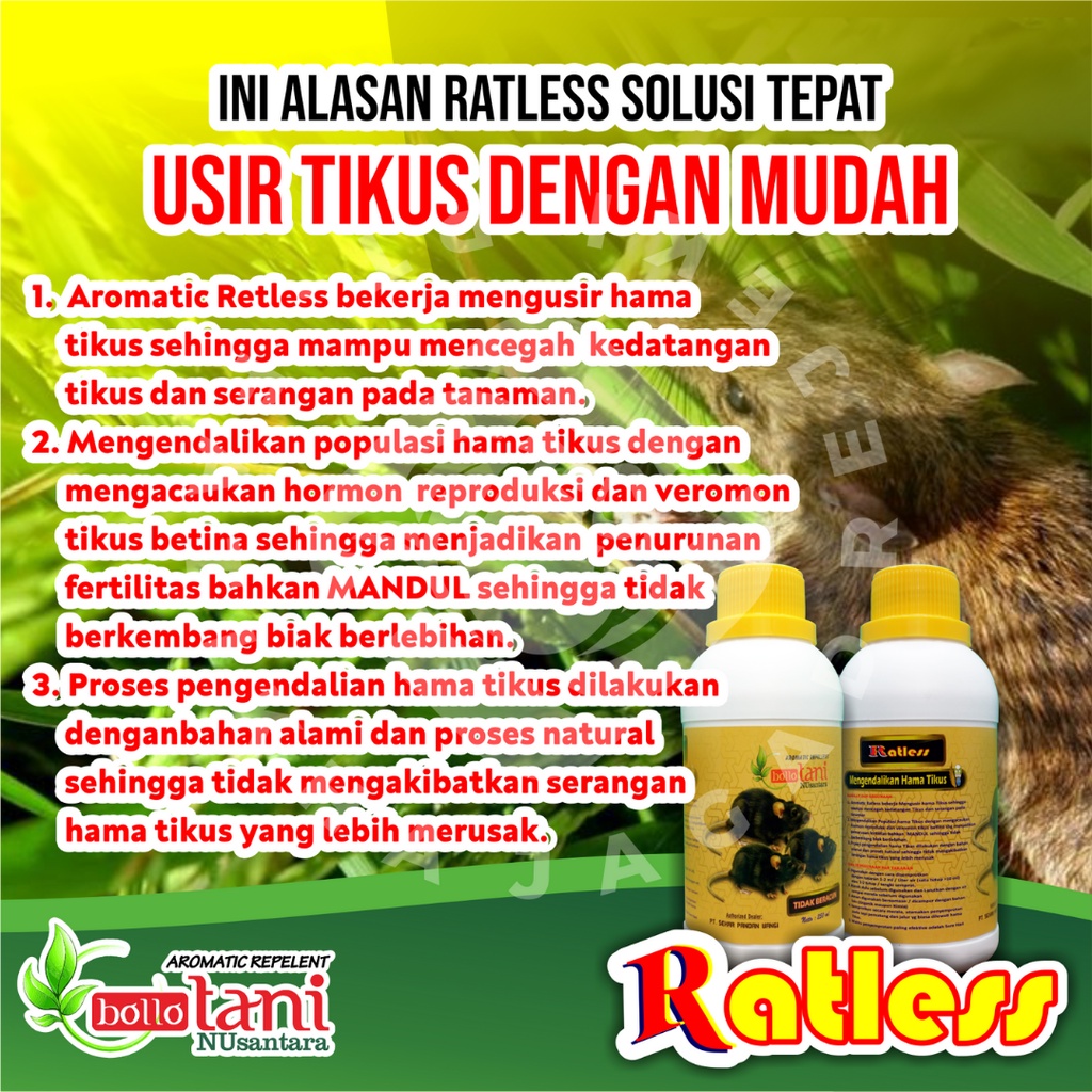 Ratless - Rat Killer - Natural RATLES Rat Poison - Powerful Rat ...