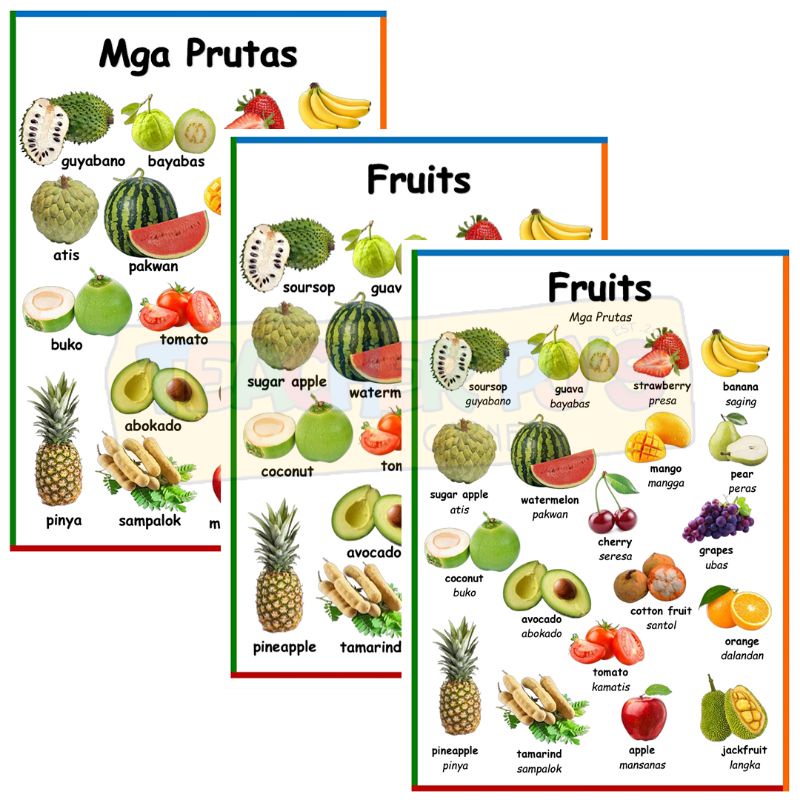 Fruits A4 Size Thick Laminated Educational Wall Chart for Kids | Shopee ...