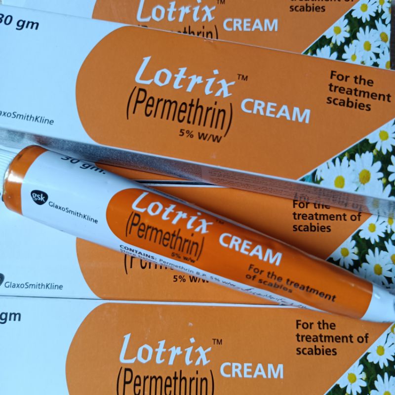 PERMETHRIN treatment for scabies scabies 30grams Shopee Philippines