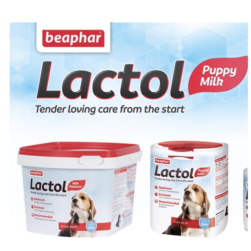 Milk for sick dog best sale