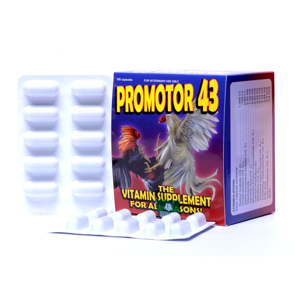 Shop promotor 43 for Sale on Shopee Philippines