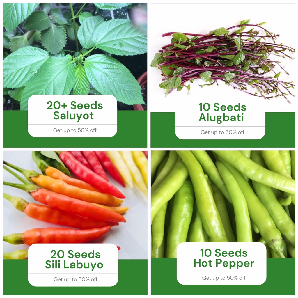 All in 4 in 1 Pack Seeds (Saluyot, Alugbati, Sili Labuyo, Hot Pepper ...