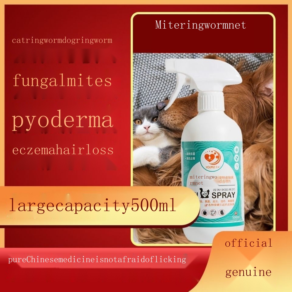Cat and dog fungal skin disease cat moss topical dermatitis eczema cat
