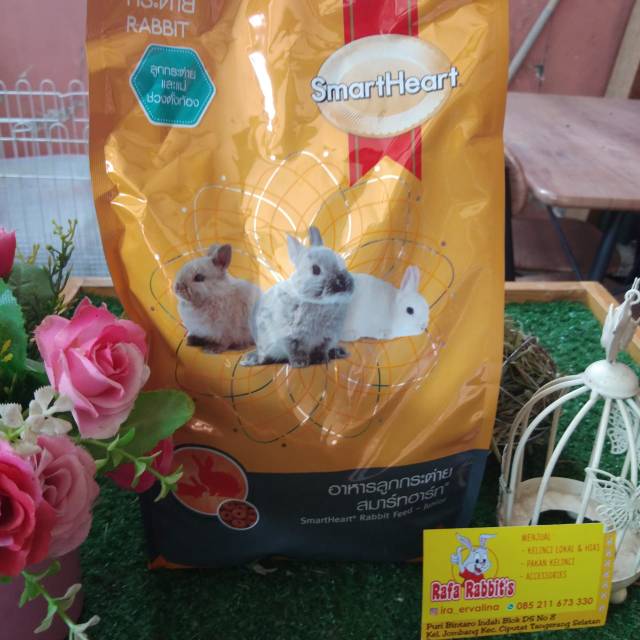 Smart heart rabbit food junior import 1kg rabbit pellets | Shopee ...