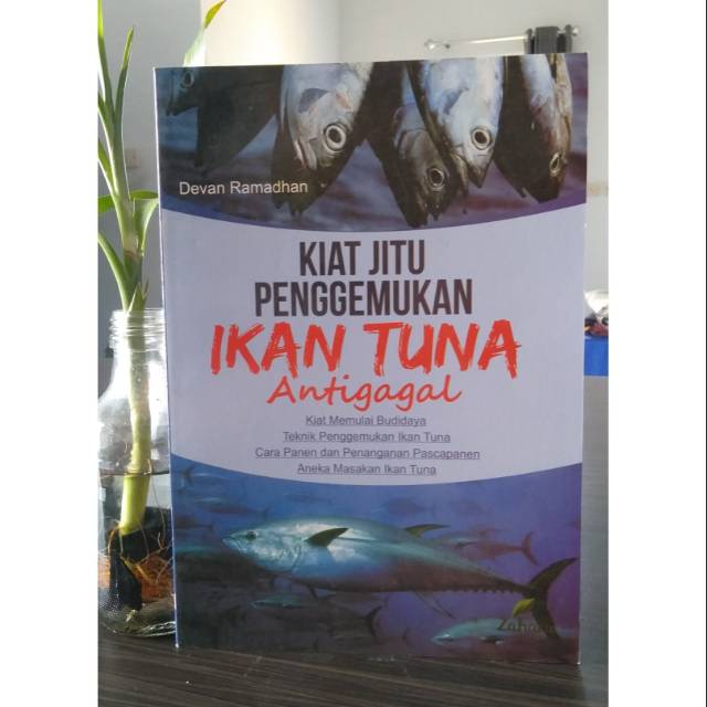 Antifail Tuna Fish Fattening Tips Devan Ramadhan Shopee Philippines