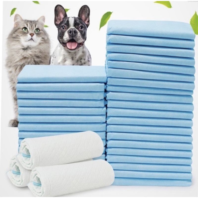 Diapers for Rabbits - Bugs - Dogs - Cats | Shopee Philippines