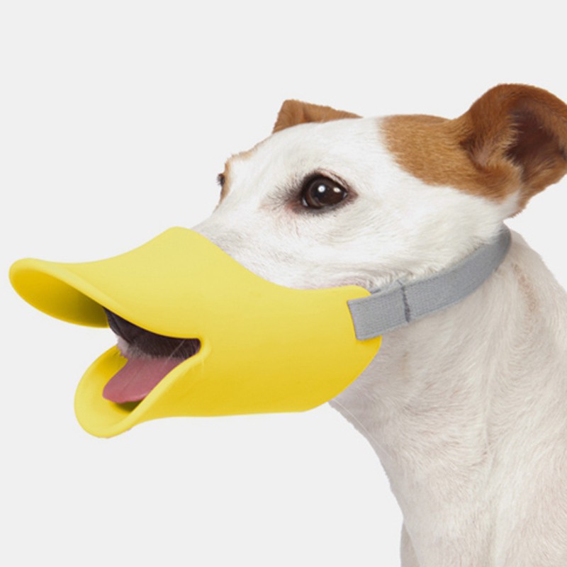 Yellow Duck Bill Muzzle Shopee Philippines