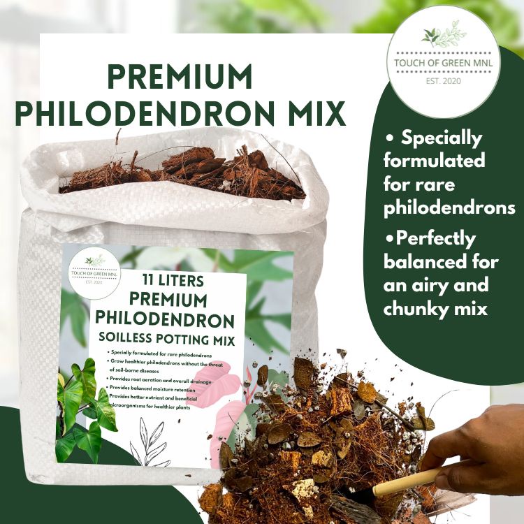 Premium Philodendron Soilless Potting Mix | Shopee Philippines - Low-Light Philodendron Potting Mix