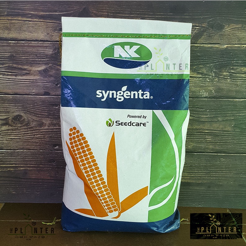 NK8840 NK6130 SYNGENTA 10kilos =1 bag (35,000 kernels) hybrid corn