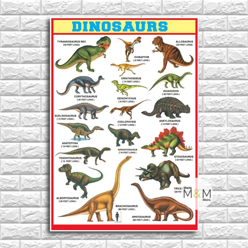 DINOSAURS Charts | Laminated A4 Size Wall Chart for Kids and Toddlers ...