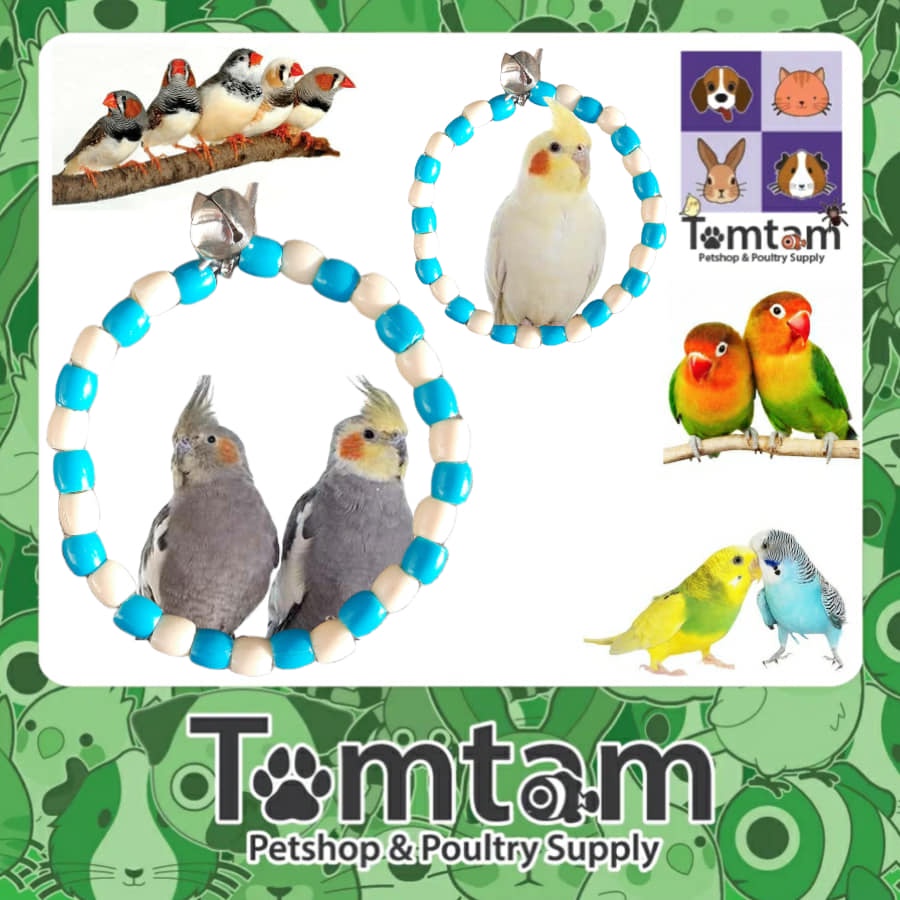 Parrot Lovebirds 4 inches Bird Toys Round Colorful Swing Bird