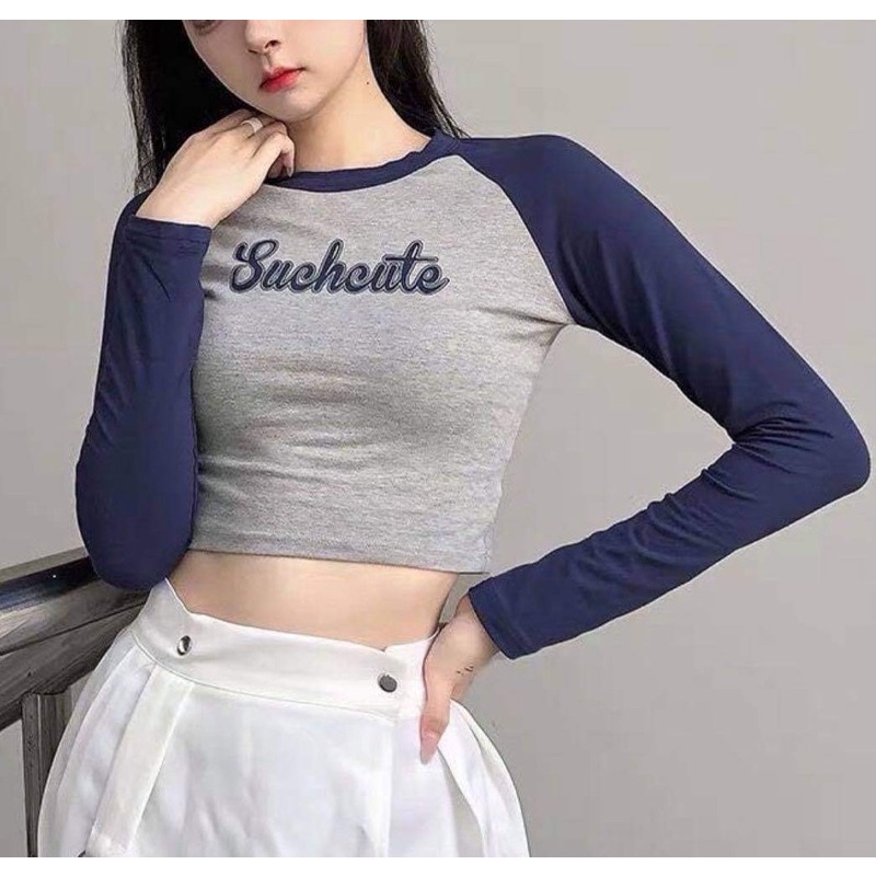 Aesthetic Such Cute Long Sleeve Two Tone Raglan Slim Fitted Croptop Shopee Philippines