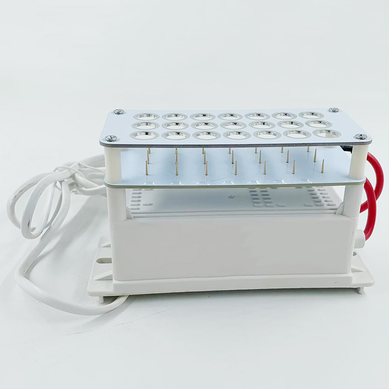 220V 12V Home Car Negative Ionizer Negative Air Ionization Air Purifier