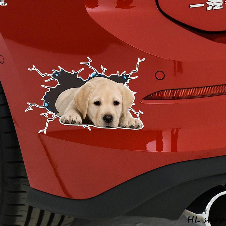 HL 3D dog stickers Cute stickers Waterproof car stickers Decorative ...