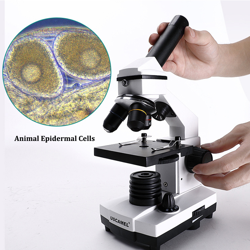 Pocket Microscope - Microscopes Pour Enfant - Jeux Scientifiques - STEM - Jeux éducatifs