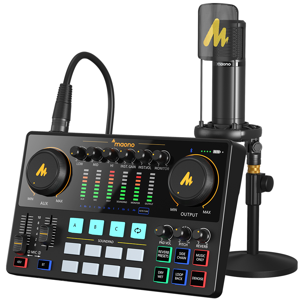 Maono AME2A Professional Sound Card Condenser Microphone Set ...