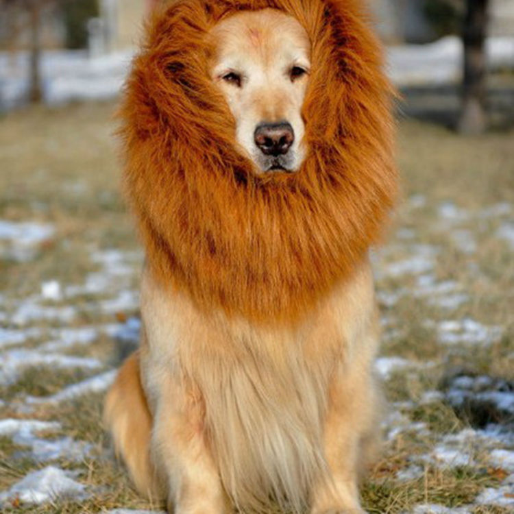 Pet lion headgear wig dog wig Halloween pet supplies mane lion wig