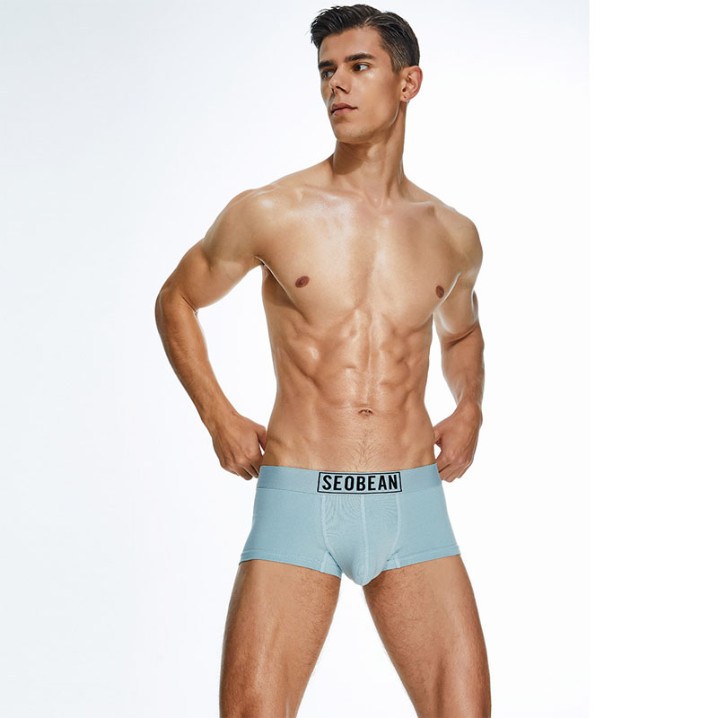 Seobean 2023 New Brief For Men Underwear Mens Boxers Breathable Cotton Men Underpants Boxer 5295