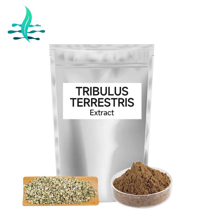 1000g/500g Health Supplements Tribulus Terrestris Root Extract Tribulus