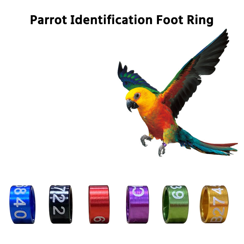 10 pcs Customized Birds Foot Ring 3mm to 8mm Parrot Straight Foot Ring ...