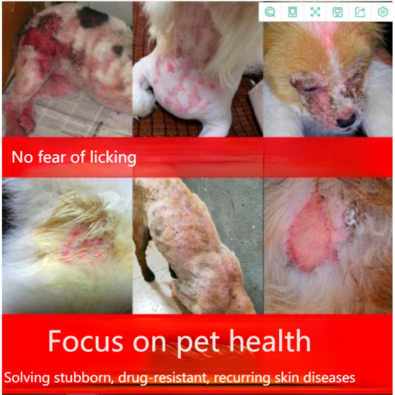 Dog Dermatitis External Use Ointment Special Product for Cureing Dog