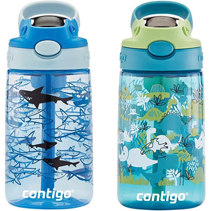 Contigo Kids Spill-Proof Stainless Steel Tumbler with Straw Sprinkles with  Birds and Flowers, 12 fl oz.