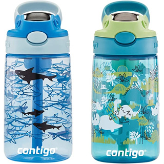 Contigo Kids Spill-Proof Stainless Steel Tumbler with Straw Sprinkles with  Birds and Flowers, 12 fl oz.