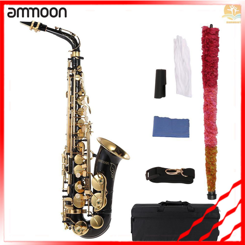 alto saxophone case - Best Prices and Online Promos - Oct 2026 | Shopee ...